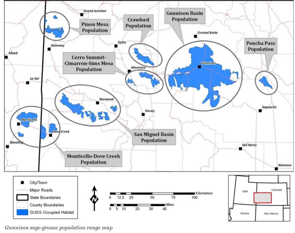 Map showing the range of the Gunnison sage-grouse. From west to east, the map shows the Monticello-Dove Creek population, Pinion Mesa population, San Miguel basin population, Cerro Summit Cimarron Sims population, Crawford population, Gunnison basin population (the largest by far), and the Poncha Pass population. 