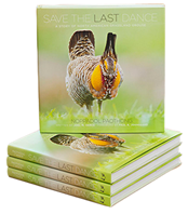 Save The Last Dance Book